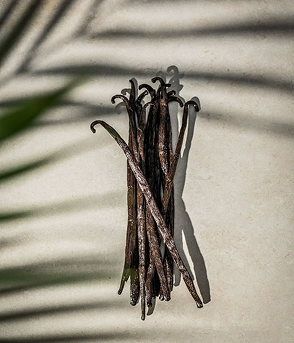 Vanille gourmet noir