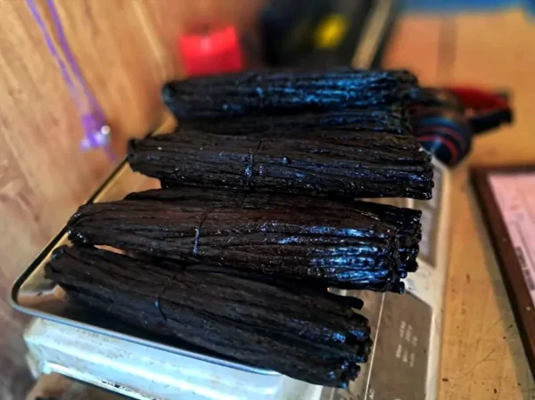 Vanilla beans Grade A – Image 2