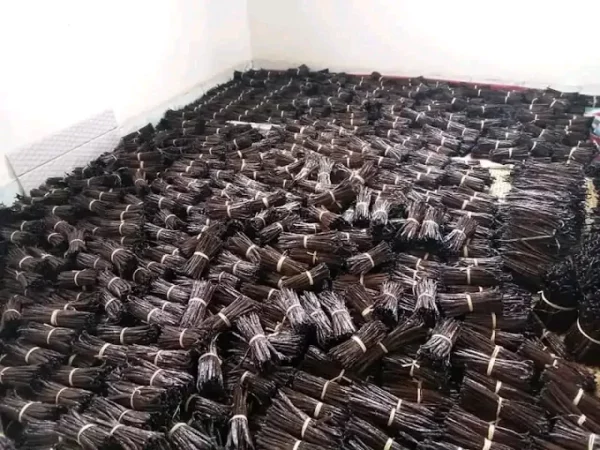 Vanille gourmet noir – Image 2